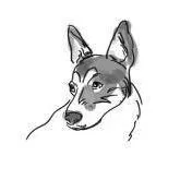 chacodogtraining.com's icon