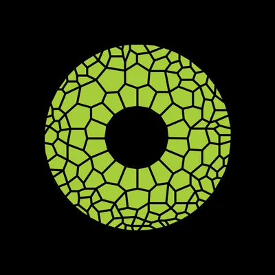 chameleon2.agency's icon