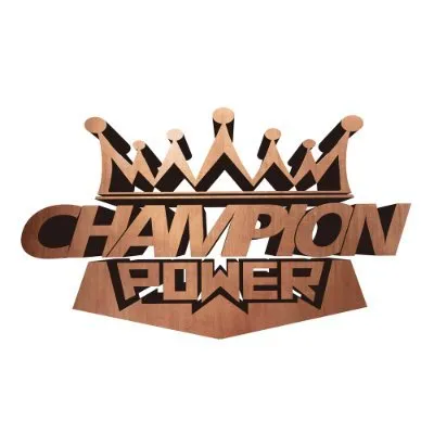 championpower.cn's icon