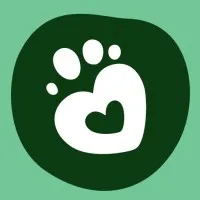 charly-companion.com's icon