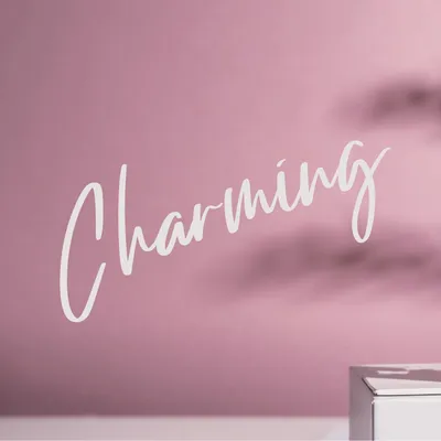 charminglook.lt's icon