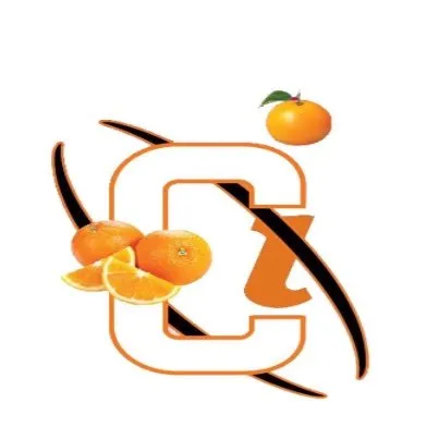 chase.com.pk's icon