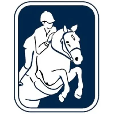 chasegroup.com's icon