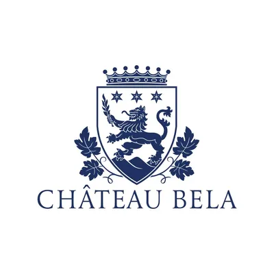 chateau-bela.sk's icon