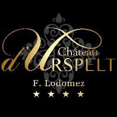 chateau-urspelt.lu's icon