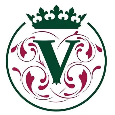 chateau-valencay.fr's icon