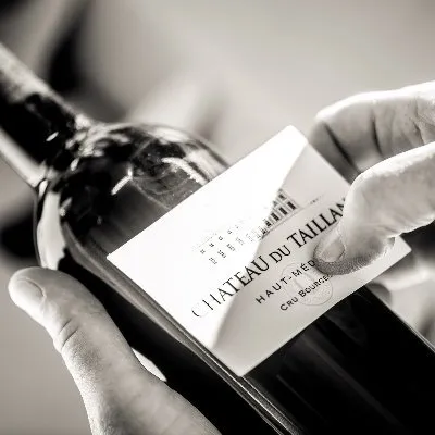 chateaudutaillan.com's icon