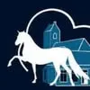 chdrogeham.nl's icon