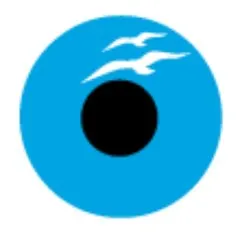 cheemaeye.com's icon