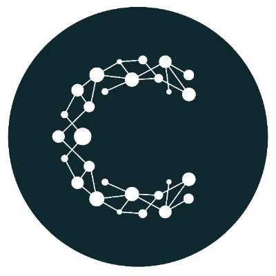 cheetahdigital.com's icon