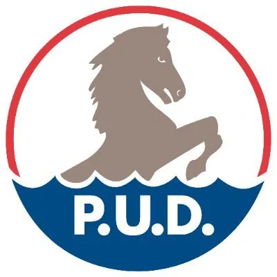 chelanpud.org's icon