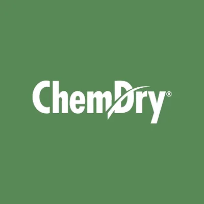 chemdry.co.nz's icon