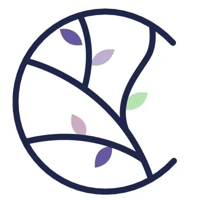 cherrycreektreatmentcenter.com's icon