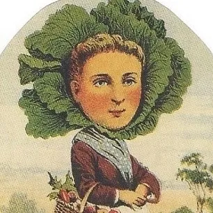 cherrygal.com's icon