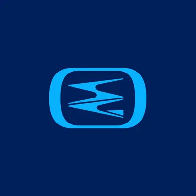 chesapeakecorp.com's icon