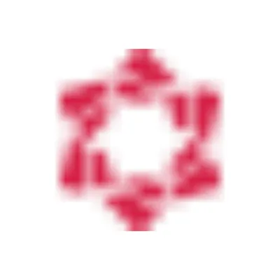 chessok.net's icon