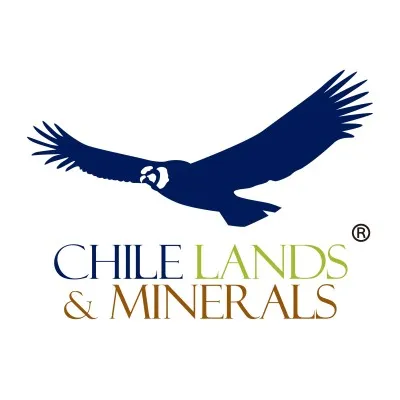 chilelandsspa.com's icon