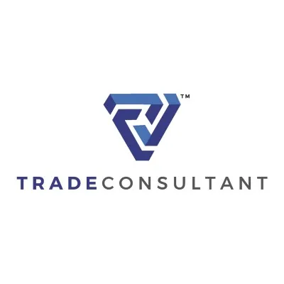 chinatradeconsultant.com's icon