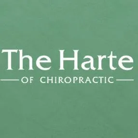 chirodrharte.com's icon