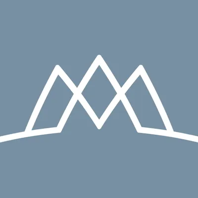 chirolife.com's icon