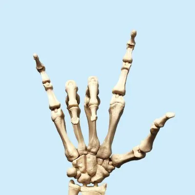chiropractor-knoxville.com's icon