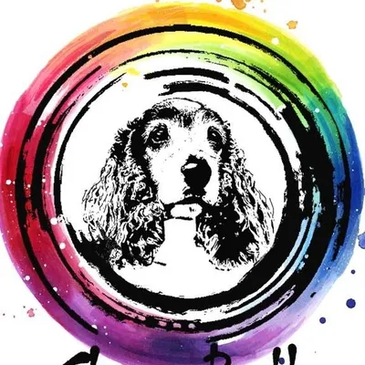 chow-bella.co.uk's icon