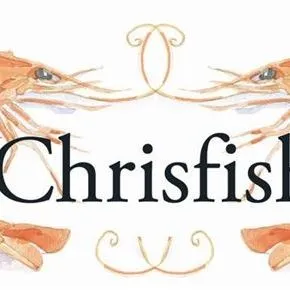 chrisfish.dk's icon