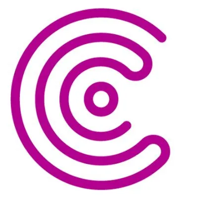 christie.com's icon