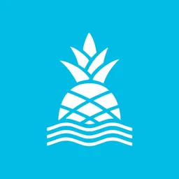 Chubbies logo