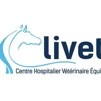 chve-livet.com's icon