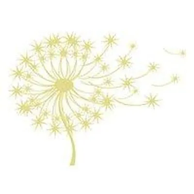 ciannemitchell.com's icon