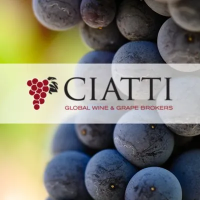 ciatti.com's icon