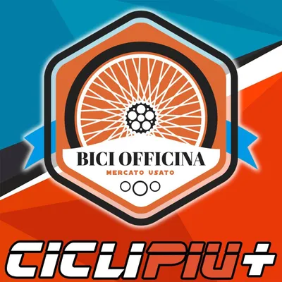 ciclipiu.it's icon