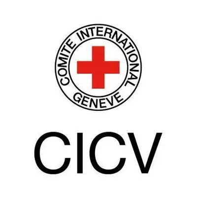 cicv.org.br's icon