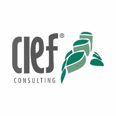 cief.com.do's icon