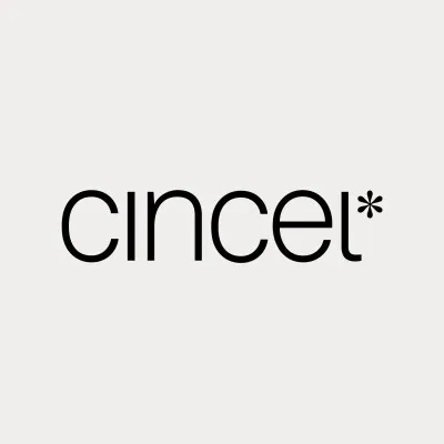 cinceldesign.com's icon