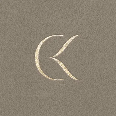 cindykleist.com's icon