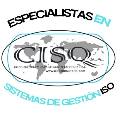cisqconsultoria.com's icon