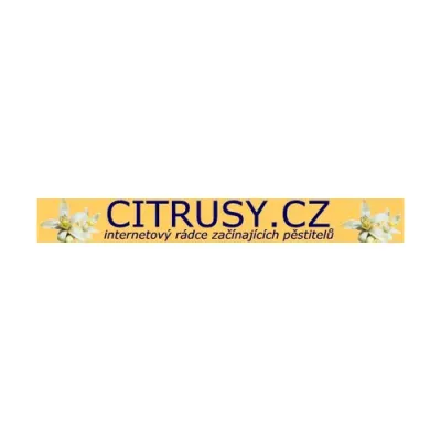 Citrusy's icon