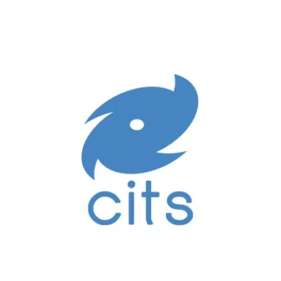 cits.cl's icon