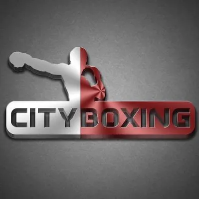 cityboxing.lt's icon