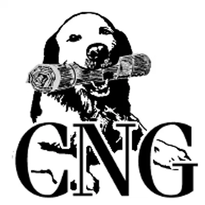citynewsgroup.com's icon