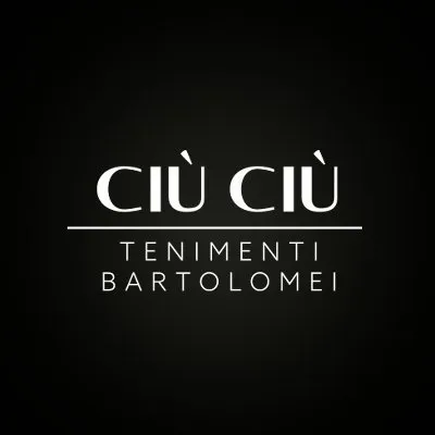ciuciutenimenti.com's icon