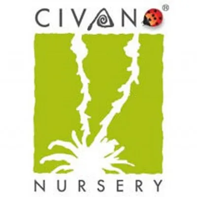 civanonursery.com's icon