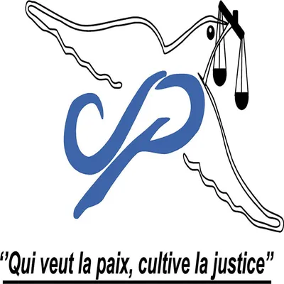 cjpburkina.org's icon
