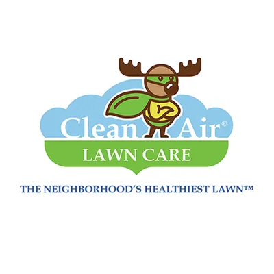 cleanairlawncare.com's icon