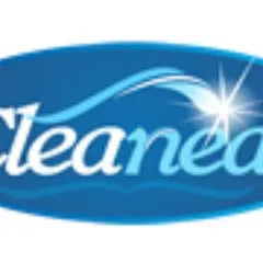 cleaneat.com.ng's icon
