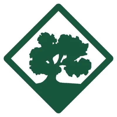 cleanmanagement.com's icon