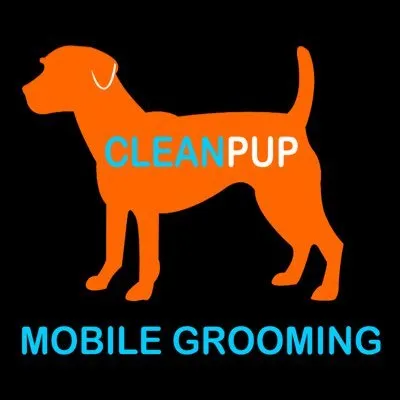 cleanpup.com's icon