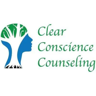 clearconsciencenj.com's icon